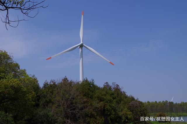 上海这个公园可谓“大风车之家”，有国内首家风电科普馆，在哪？