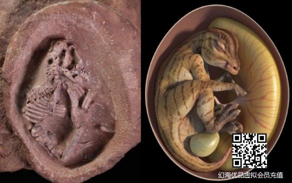 迄今为止科学记录最完整的鸭嘴龙胚胎：超逼真复原！