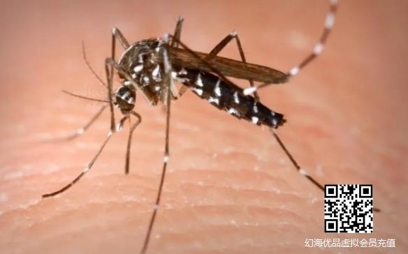 科学家培育出新型蚊子！寿命缩短并且无法传播疟疾！
