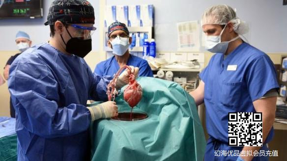 人类成功为患者移植猪心脏：情况良好为患者带来希望！