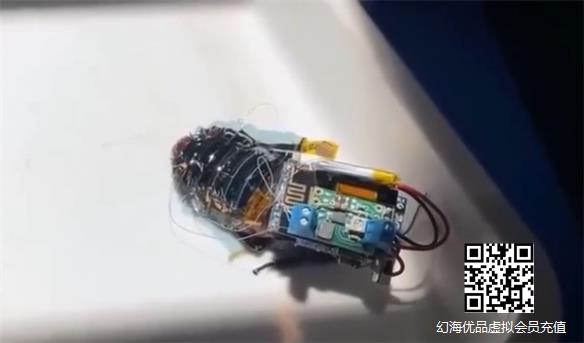 日本可充电“太阳能生化蟑螂” ：用于救援现场勘测！