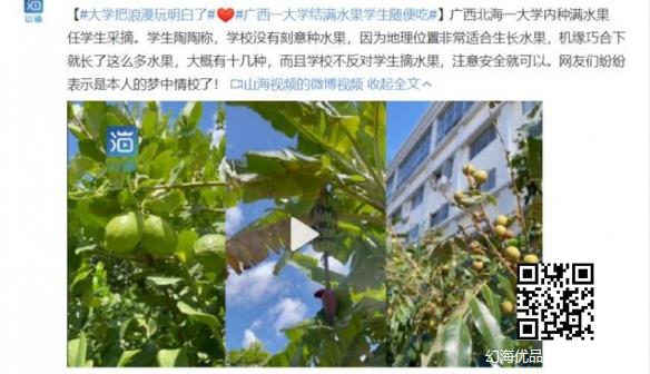 广西一大学结满水果学生随便吃 网友：梦中情校啊！