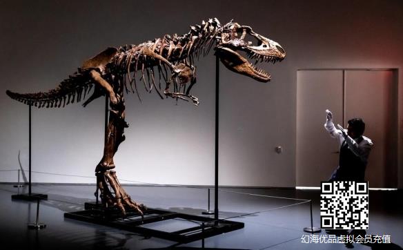 全球唯一可供私藏！7600万年前戈尔冈龙骨架将拍卖！